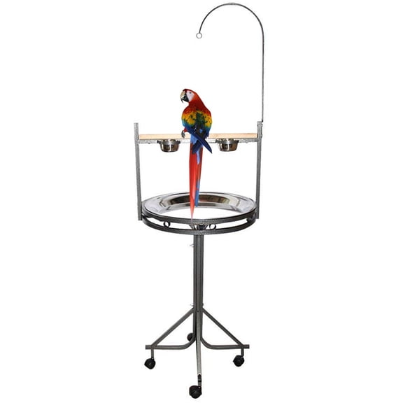 Large Elegant and Heavy Duty Wrought Iron Parrot Play Gym Ground Stand with Wood Perch Stainless Steel Tray Toy Hook and Stainless Steel Cups On Wheel