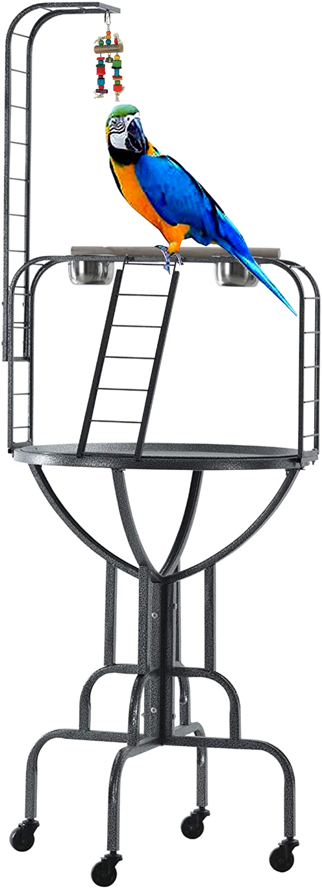 Large bird play gym hotsell