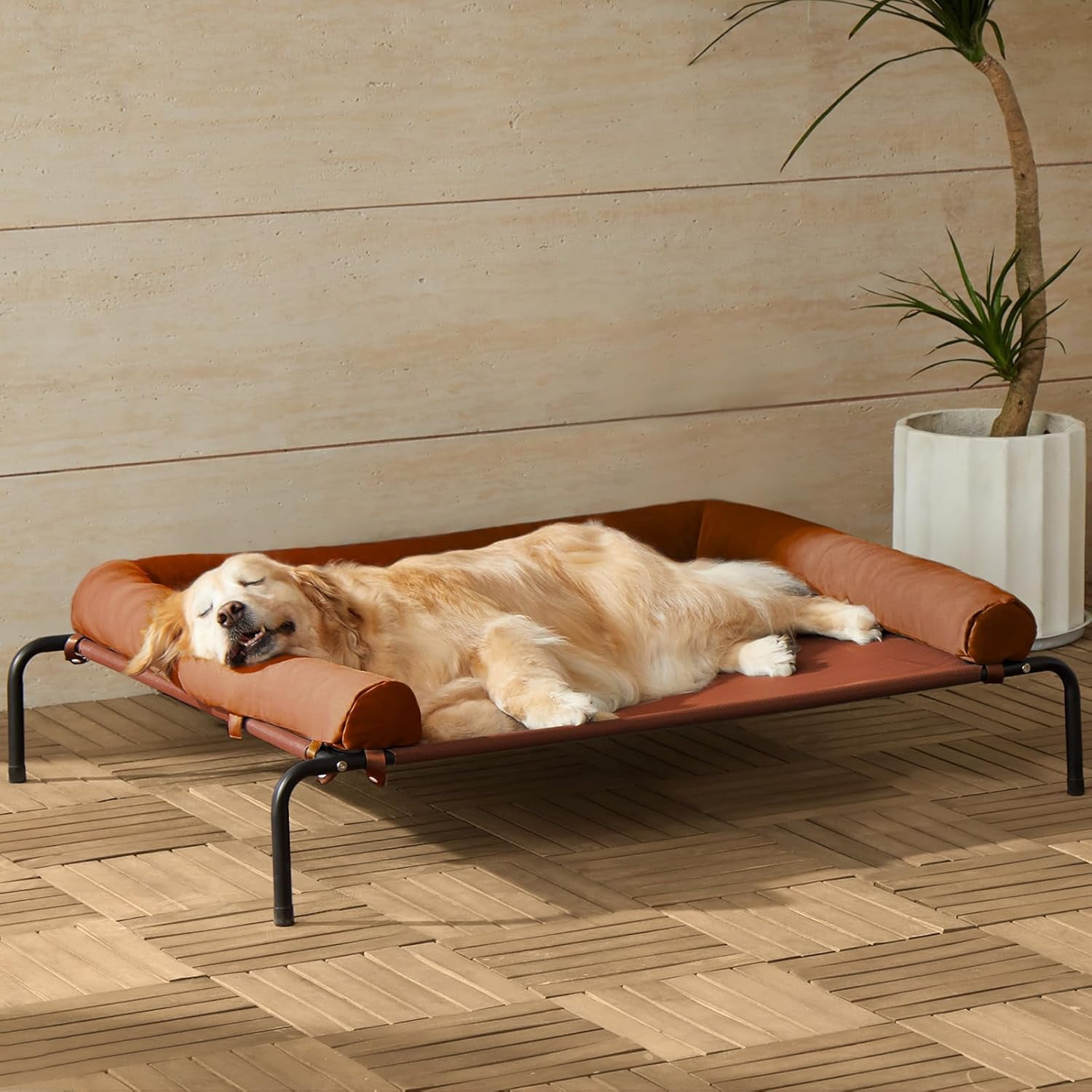 Large Elevated Cooling Dog Bed, Raised Dog Cot Beds for Large Dogs ...