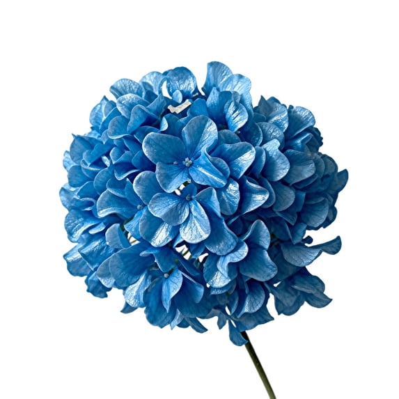 Large Embroidered Fabric Flowers Fake Silk for Wedding Home Decoration Special Events