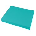 thumbnail image 1 of Large Exercise Pad for Balance for Pilates Core Training Fitness Green, 1 of 7