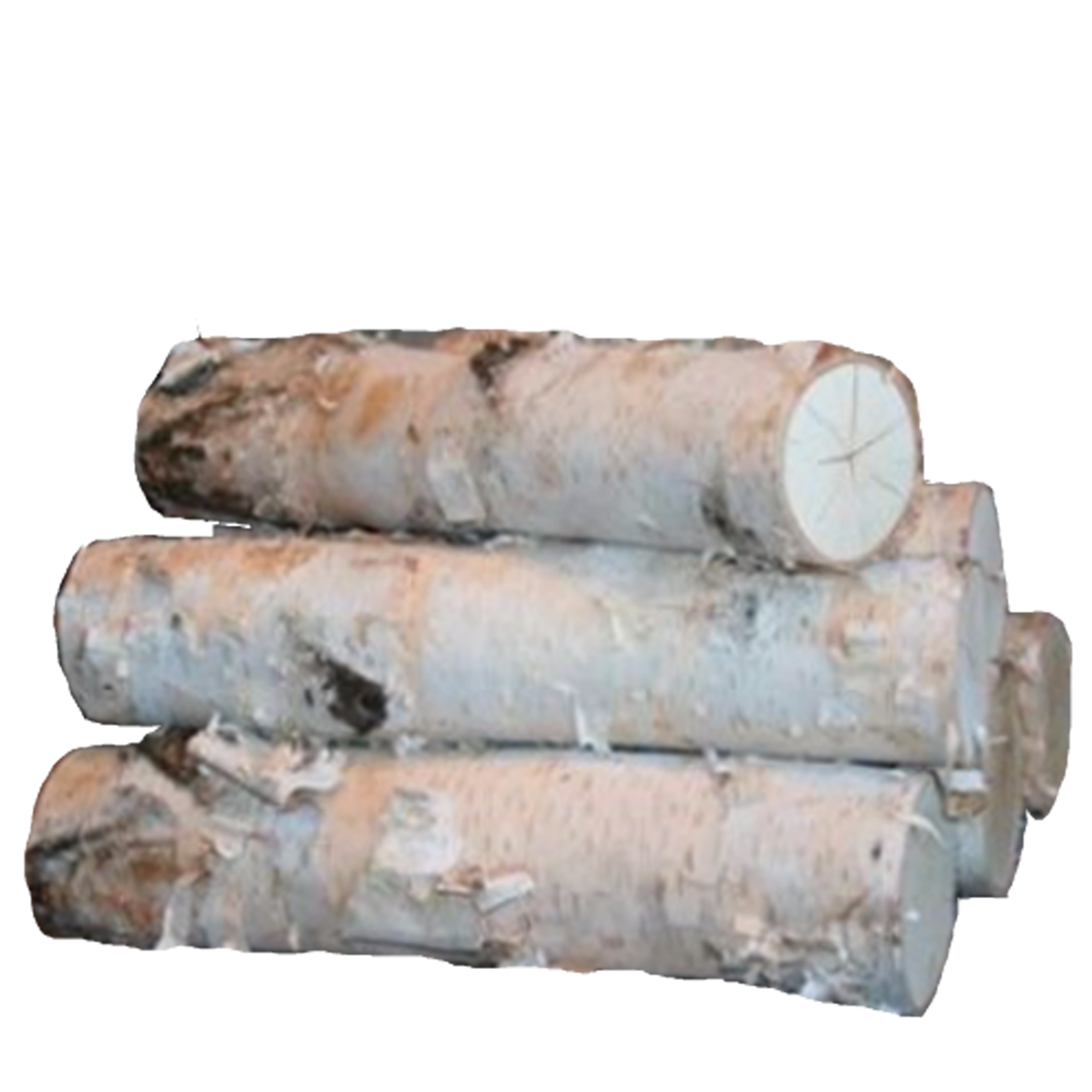 Birch Fireplace Logs Large- Six 3 to 4 x 20 Long – Spirit of the Woods,  Inc