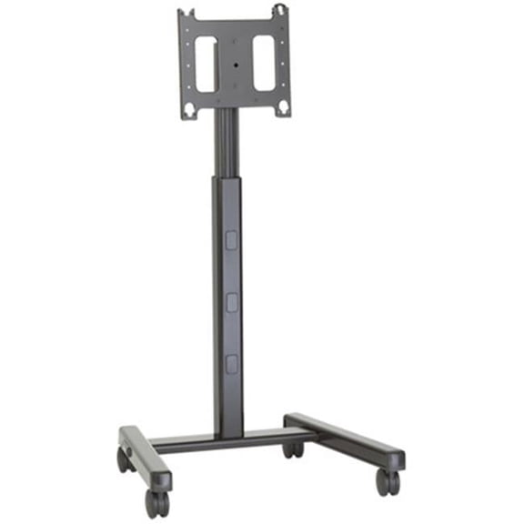 Large Flat Panel Mobile AV Cart TAA Compliant