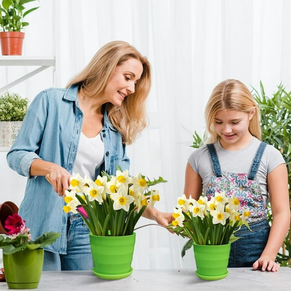 Large Flower Pot under $5! Xqxayjr Large Colorful Plastic Flower Pot, Big Decorative Planter for Succulentss and Plants, Home Garden Balcony Terrace Pot