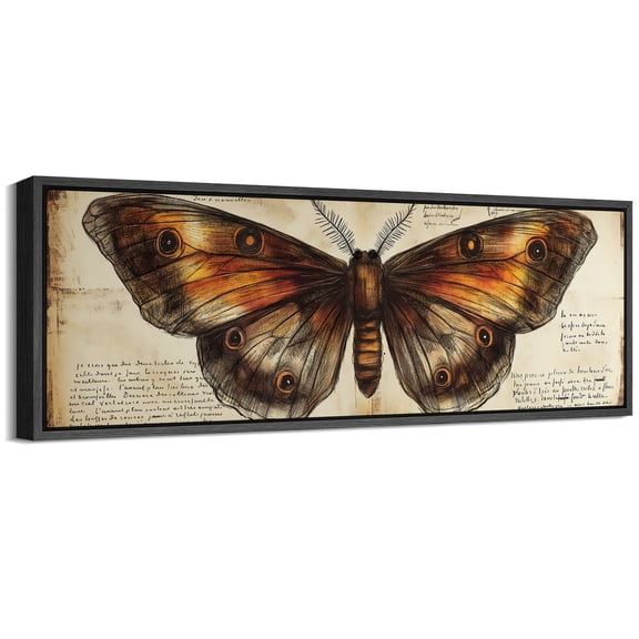 Large Framed Canvas Print Rustic Moth Artwork with Sepia-Toned Background and CalligraphyWall Art Decorative Ready to Hang Painting for Living room Bedroom 60x20 inches Black Frame