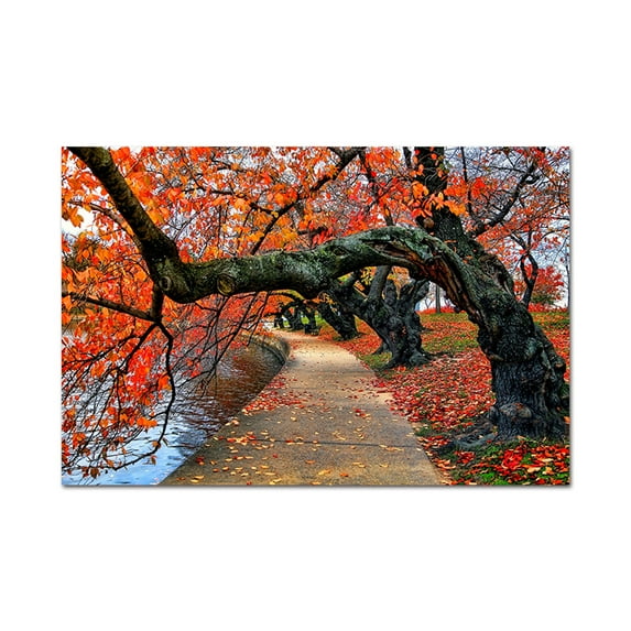 Large Framed Tree Wall Art Tree in the Fall Wall Decor Scenery Painting for Livingroom Bedroom Decoration Framed Painting Ready to Hang