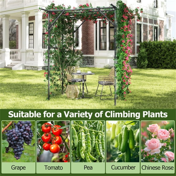 Large Garden Trellis Arch 79 Inch Tall Extra Wide Metal Plant Support for Climbing Vines Rustproof PE Coated Outdoor Garden Decor Tomato Cucumber Grape Rose Vertical Gardening Structure Easy Assembly