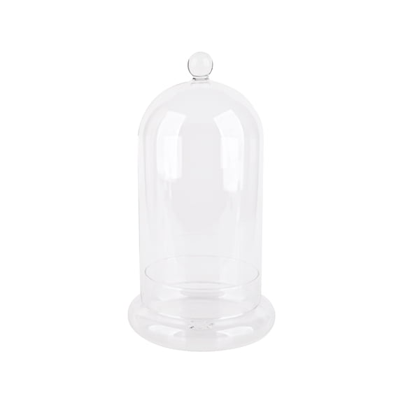 Large Glass Cloche with Base by Ashland  - Spring Home Decor