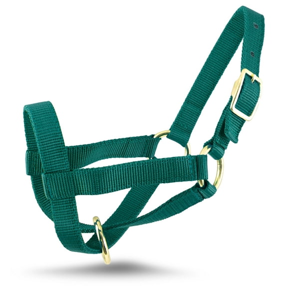 Jeffers Livestock Goat Halter, Large, Forest Green – Safe & Adjustable for Milking, Training, and Travel; Ideal for Dairy, Show Goats, and Small Livestock; - Protection & Accessories for Goats.