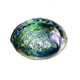 thumbnail image 1 of Large Green Abalone Shell Bowl For Smudging Sage Burner, 1 of 2