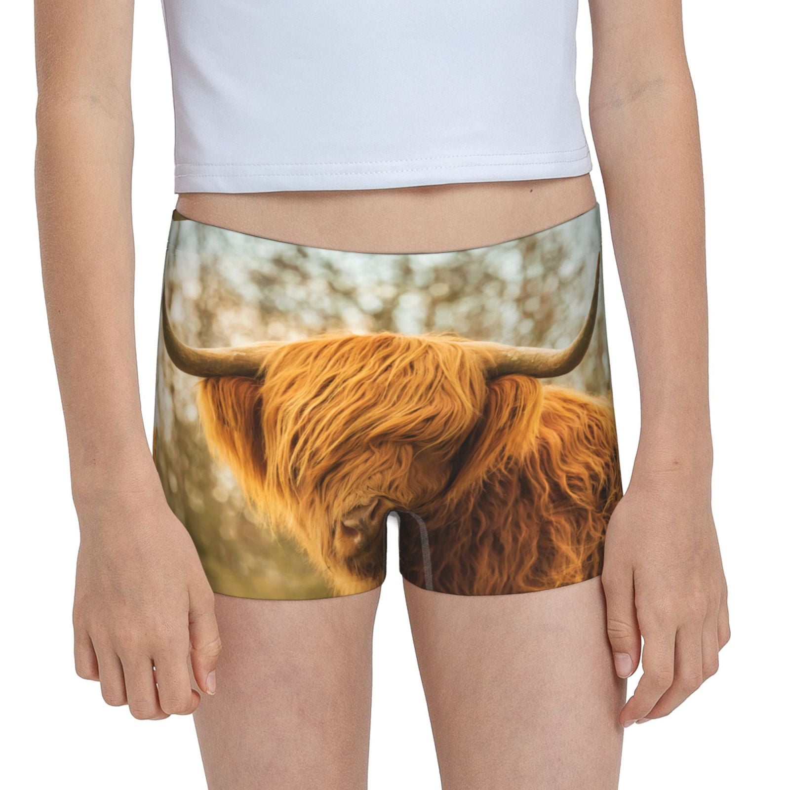 Easygdp Yak Girls Hipster Cotton Underwear Little Girls' Underwear