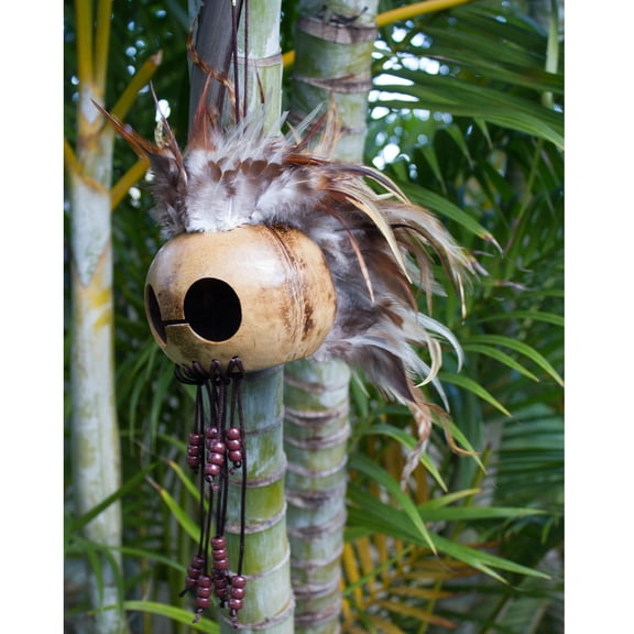 Large Hawaiian Warrior Ikaika Makaki'i Mask Coconut Shell Feather Helmets. Brown