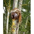 thumbnail image 1 of Large Hawaiian Warrior Ikaika Makaki'i Mask Coconut Shell Feather Helmets. Yellow, 1 of 3