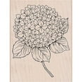 thumbnail image 1 of Large Hydrangea - Mounted Set, 1 of 1
