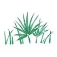 thumbnail image 1 of Large Jungle Grass Wall Stencil SKU #2854B by Designer Stencils, 1 of 1