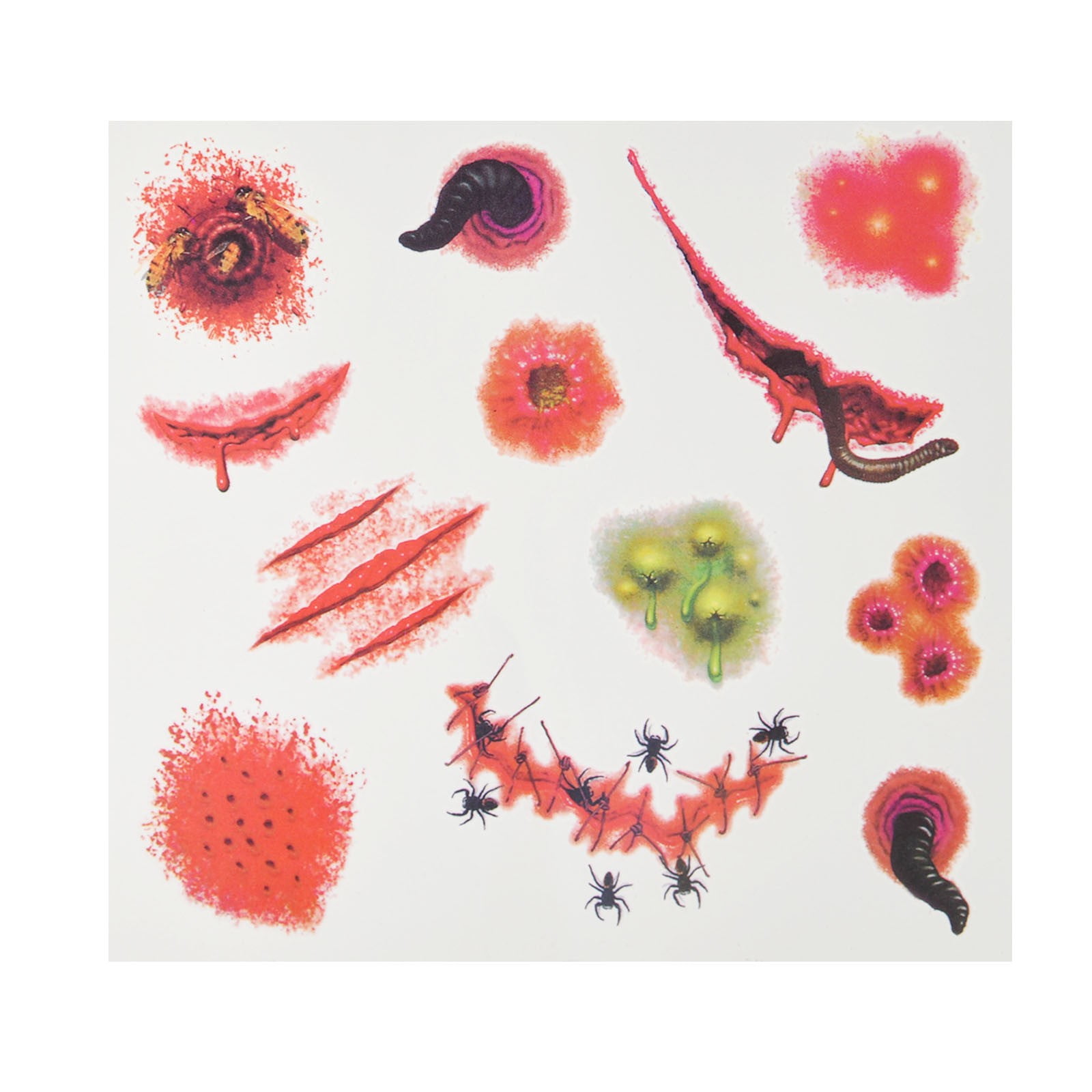 Large Kids Stickers Sticker Pack Adults Inappropriate Camera Photo