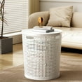 thumbnail image 1 of Large Laundry Basket with Lid | Imitation Rattan Plastic Storage Bin for Clothes | 42x38x33cm Capacity | 1-Pack, 1 of 5