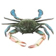 thumbnail image 1 of Large Lifelike Maryland Blue Crab Nautical Home Wall Plaque Tiki Bar Beach House Decor, 1 of 7