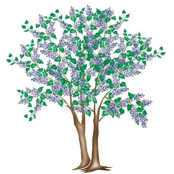 Large Lilac Tree Wall Stencil SKU #3347 by Designer Stencils