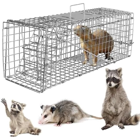 Large Live Animal Trap Cage, Foldable Heavy Duty Humane Rat Trap for Indoor and Outdoor, Metal Mouse Trap Foxes Armadillos Cats, Rabbits, Raccoons, Skunks, Possums/Catch and Release, Sliver