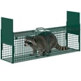 thumbnail image 1 of Large Live Animal Trap for Raccoon, Stray Dog, Fox, Groundhog, Heavy Duty Q235 Carbon Steel Humane Cage, Foldable Catch and Release Trap, 1 of 10