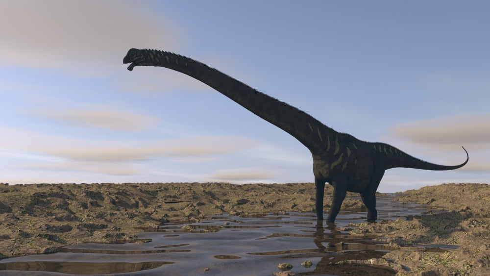 Large Mamenchisaurus walking along a dry riverbed Canvas Art - Kostyantyn IvanyshenStocktrek Images (37 x 21)