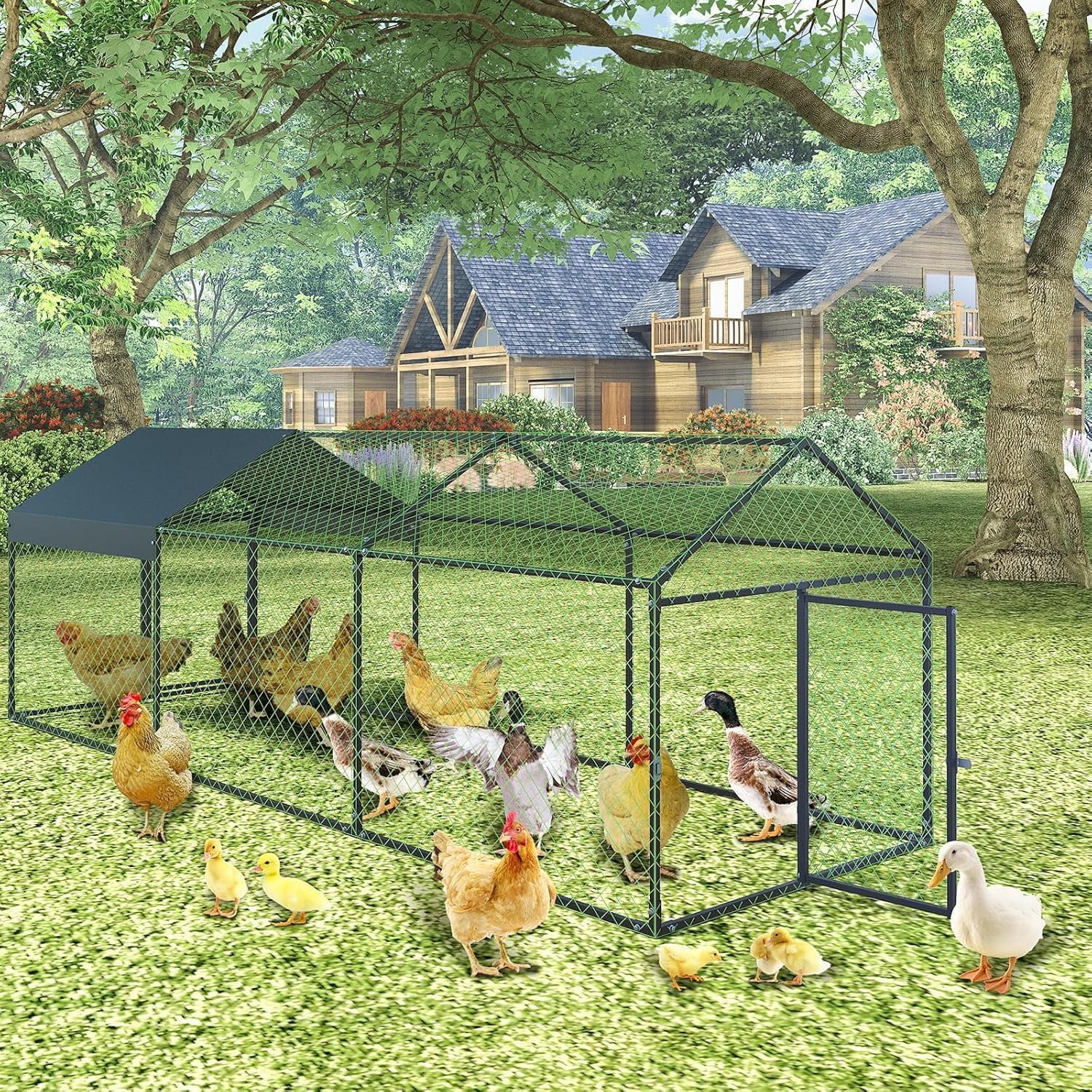 Large Metal Chicken Coop,120