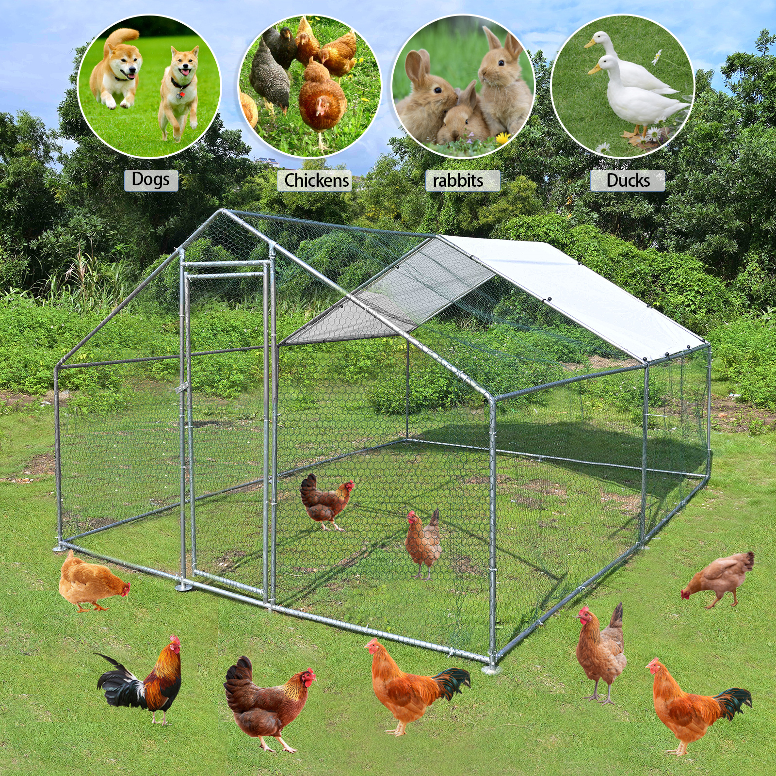 Large Metal Chicken Coop Walkin Chicken Run Hen House Spire Shaped