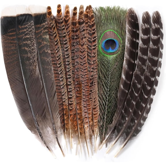 Large Natural Pheasant Feathers - 8-12inch Assorted Craft Feathers Bulk,Peacock Feathers, Pheasant Feathers,Turkey Feathers for Crafting Vase Hat Wedding Autumn Party Decor