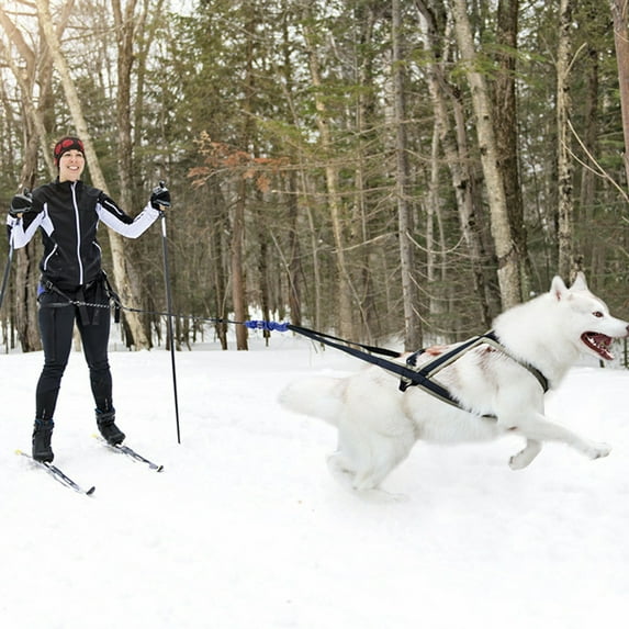 Large No Pull Dog Harness with Leash Adjustable Pet Vest for Outdoor Hiking and Training