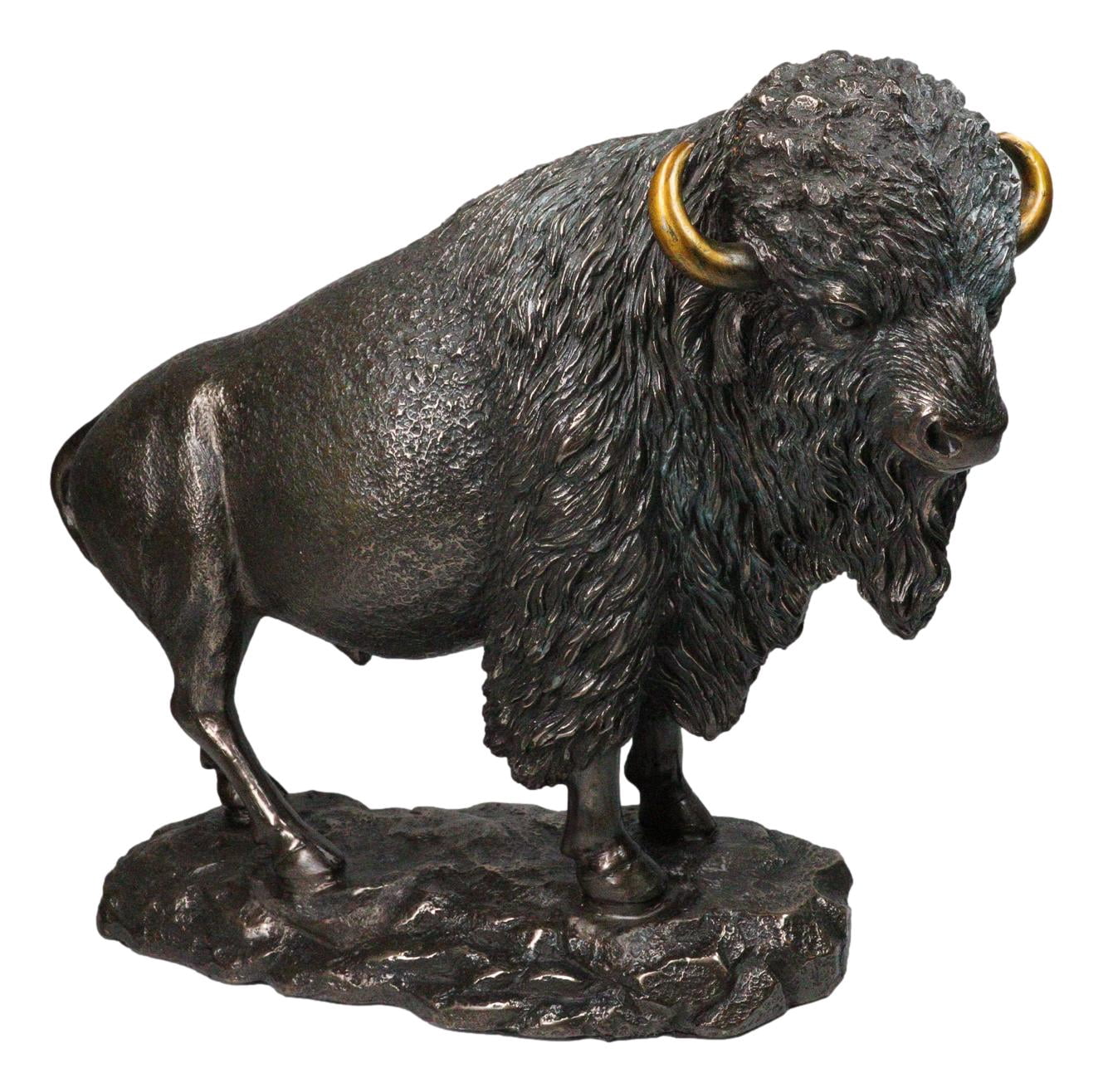Large North American Open Grassland Plains Bison Buffalo On Rock Base ...