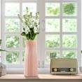 thumbnail image 1 of Large Opening Modern Plastic Vase,Shatterproof Floral Container,Living Room Dining Table Decor,Wedding Event Centerpiece Vase,Stylish Home Office Display,Anti Drop Durable Vase, 1 of 7