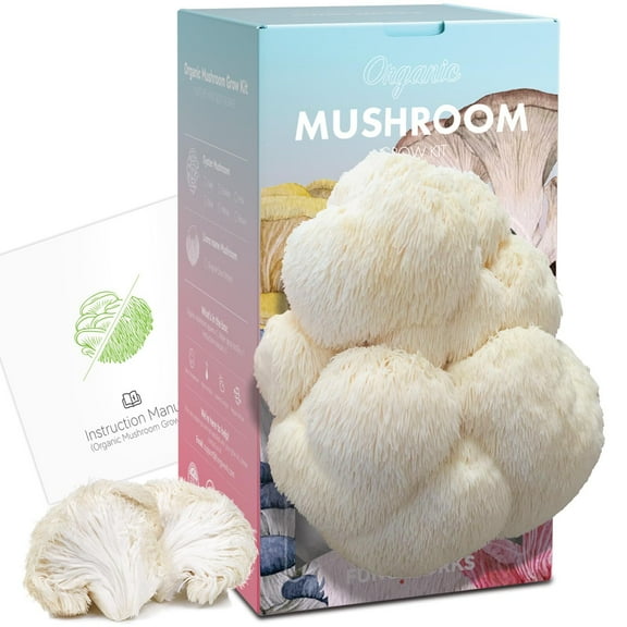 Large Organic Lion's Mane Mushroom Growing Kit (4lbs), Double-Side Mushroom Grow Kit Indoor Harvest in 10 Days, Grows Year Round, Made in USA
