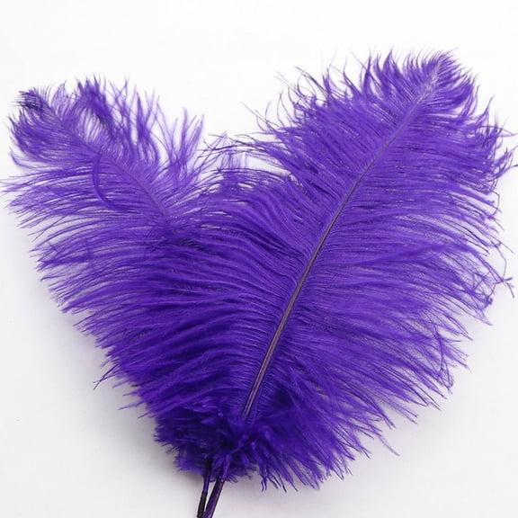 Large Ostrich Feathers Colorful Plumes For Wedding Centerpiece Flower Arrangement Home Decor(Purple)