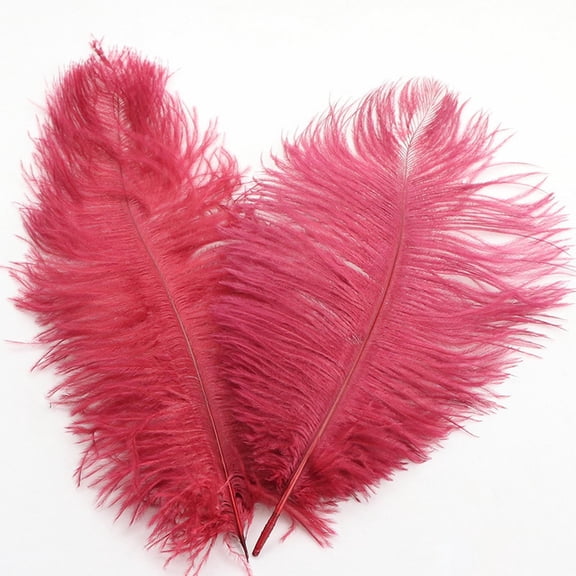 Large Ostrich Feathers Colorful Plumes For Wedding Centerpiece Flower Arrangement Home Decor(Wine Red)