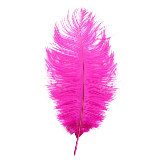 Large Ostrich Feathers for DIY Crafts,Soft Natural Ostrich Feathers,Craft Feathers for Thanksgiving Decor Angel Wings Dream Catchers,and Social Theme Art Projects
