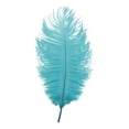 thumbnail image 1 of Large Ostrich Feathers for DIY Crafts,Soft Natural Ostrich Feathers,Craft Feathers for Thanksgiving Decor Angel Wings Dream Catchers,and Social Theme Art Projects, 1 of 2