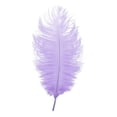 thumbnail image 1 of Large Ostrich Feathers for DIY Crafts,Soft Natural Ostrich Feathers,Craft Feathers for Thanksgiving Decor Angel Wings Dream Catchers,and Social Theme Art Projects, 1 of 2