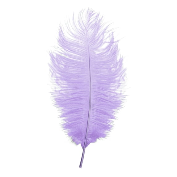 Large Ostrich Feathers for DIY Crafts,Soft Natural Ostrich Feathers,Craft Feathers for Thanksgiving Decor Angel Wings Dream Catchers,and Social Theme Art Projects