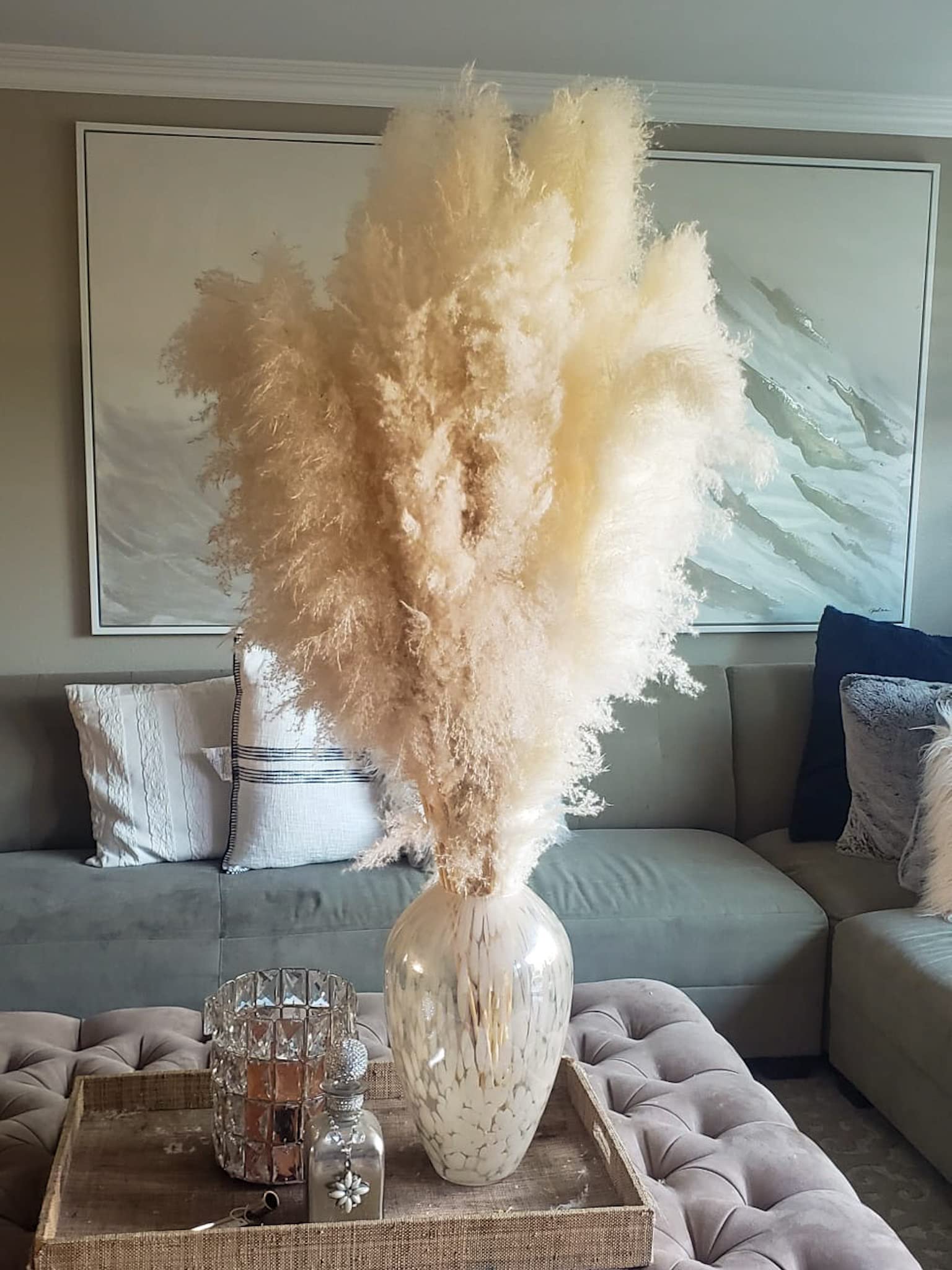 Large Pampas Grass Decor Naturally Dried Grass Light Beige for Home ...