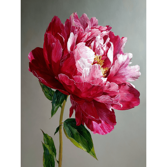 Large Peony Oil Painting Canvas Print Wall Art for Living Room Office Hotel Hallway