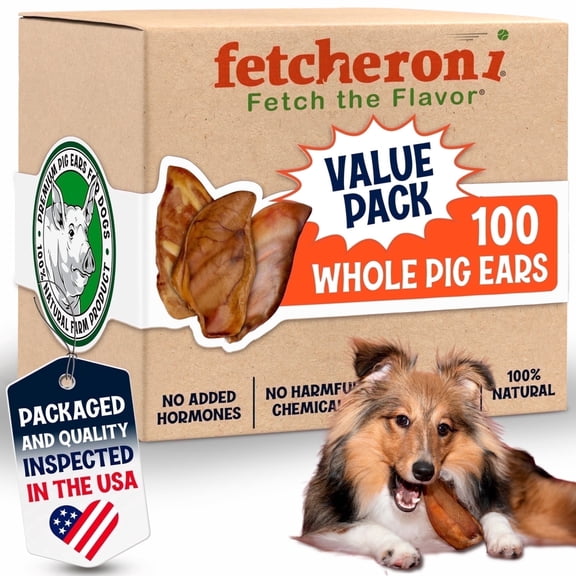 Large Pig Ears for Dogs 100 Pack –Single Ingredient Dog Treats – Long Lasting Chew by Fetcheroni