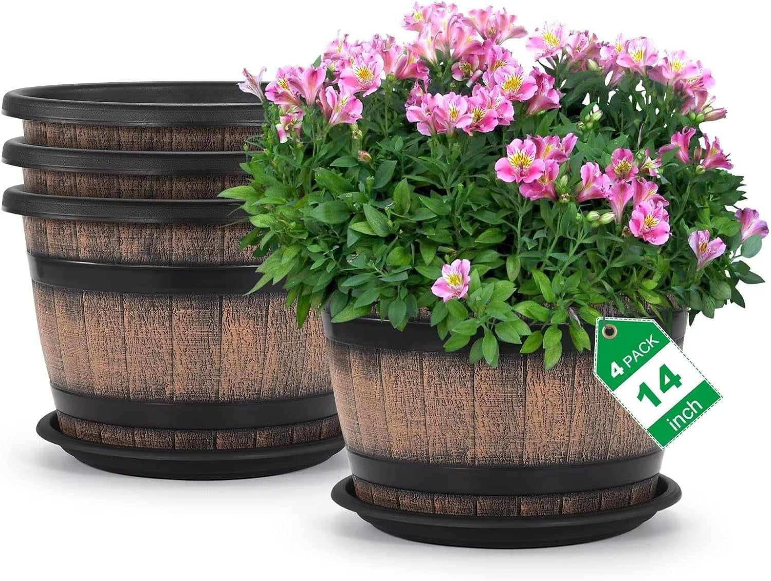 succulent plants in pots Large Succulent Circle Planter