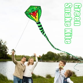 Large Power Serpentine Kite with Flying Line, Outdoor Fun Sports Kite for Adults
