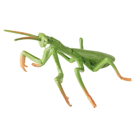 Large Praying Mantis Figurine – Hollow Realistic Insect Bug Model Toy for Kids – Educational Bug Toy for Science and Nature Learning