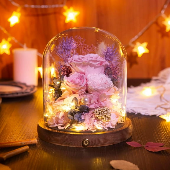 Large Preserved Flowers with Card & Box - Eternal Rose with Lights, Roses in Glass Dome,  Gift for Her, Decoration, Fresh Rose Flowers for Mom, Birthday, Anniversary (Pink)