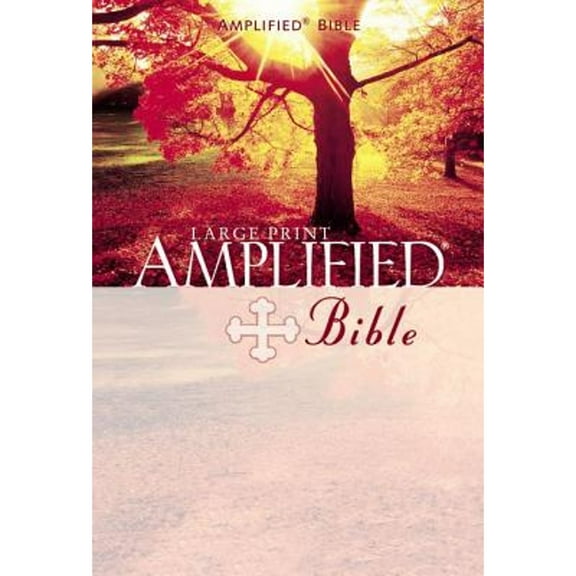 Pre-Owned The Amplified Bible, 9780310951728, 0310951720, Hardcover, Large Print edition
