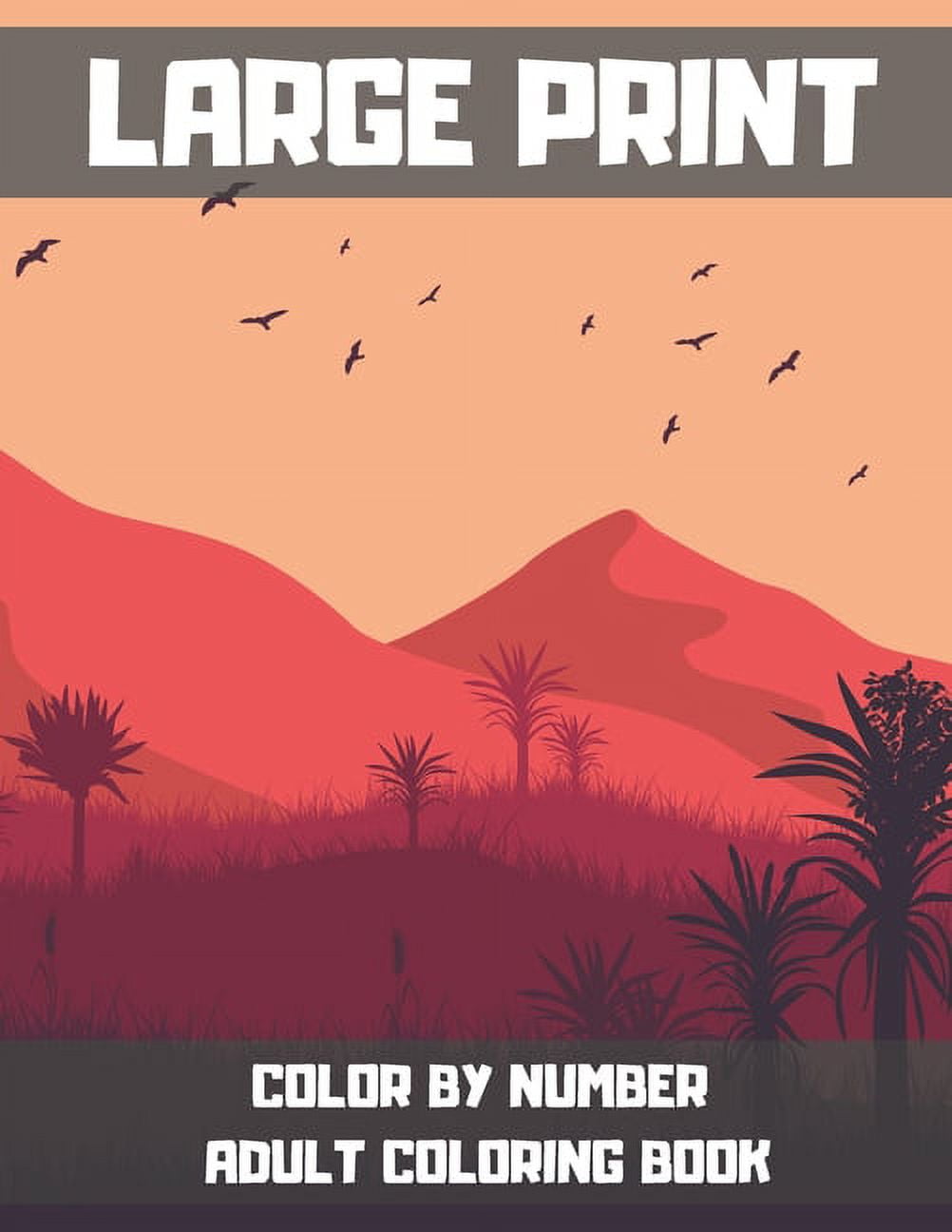 large-print-color-by-number-adult-coloring-book-a-simple-color-by