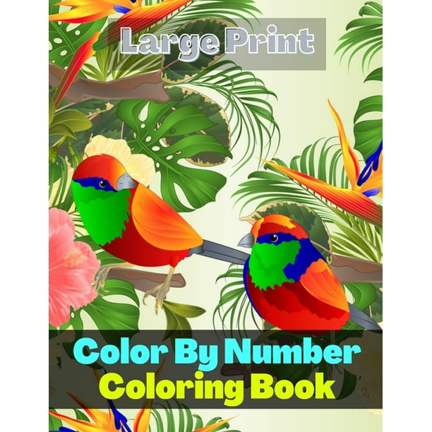 Large Print Color By Number Coloring Book Adult Color By Numbers