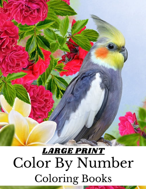 Color By Number For Adults Large Print Coloring Book: Color By Numbers  Large Print Easy Relaxing Flowers Birds Landscapes For Stress Relief